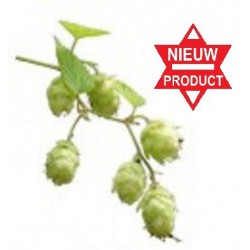 Galena hopbloem 17 100g 15 6