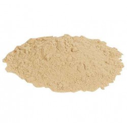 Go-Ferm Protect Evolution yeast nutrient 100