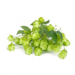 Azacca bloem 19 100g 11-13%...