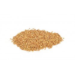 Koriandervrucht 250 G