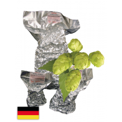 Hallertau Mittelfrüh...