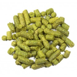 Magnum Hop korrels 20 15,5%...