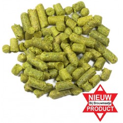 Southern Cross hopkorrel...