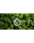 hop-voor-wort brouw-proces-zelf-thuis-bier-brouwen-hoppen-ingredienten-kopen